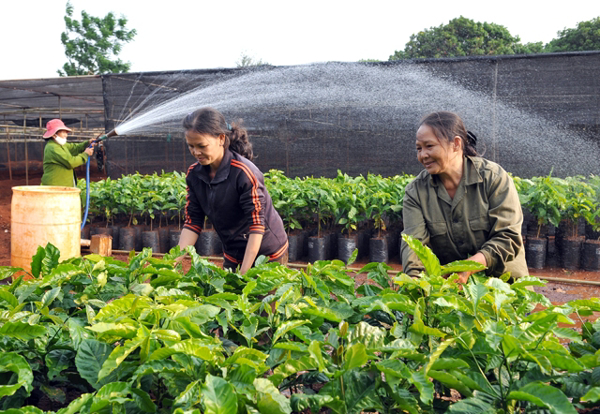 Nông, lâm, ngư nghiệp và phát triển nông thôn